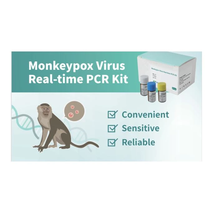 Monkeypox PCR Kit CE ISO EUA Rapid Antigen Pox Kit