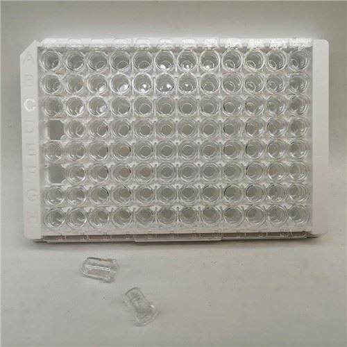 Kirkas Elisa-lautanen